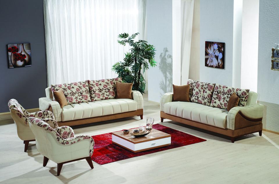 Aleyna Salon Takımı