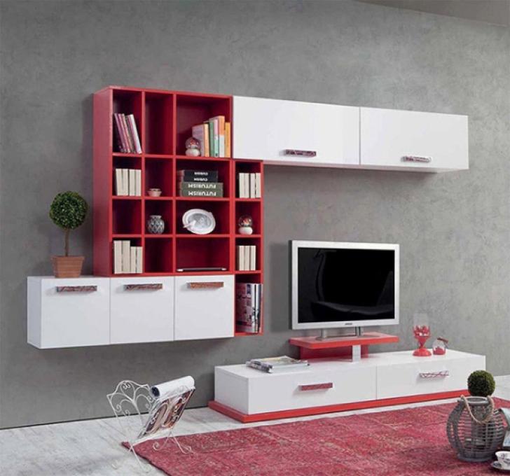 Bw101 Tv Ünitesi